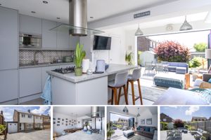 Photo 24- click for photo gallery